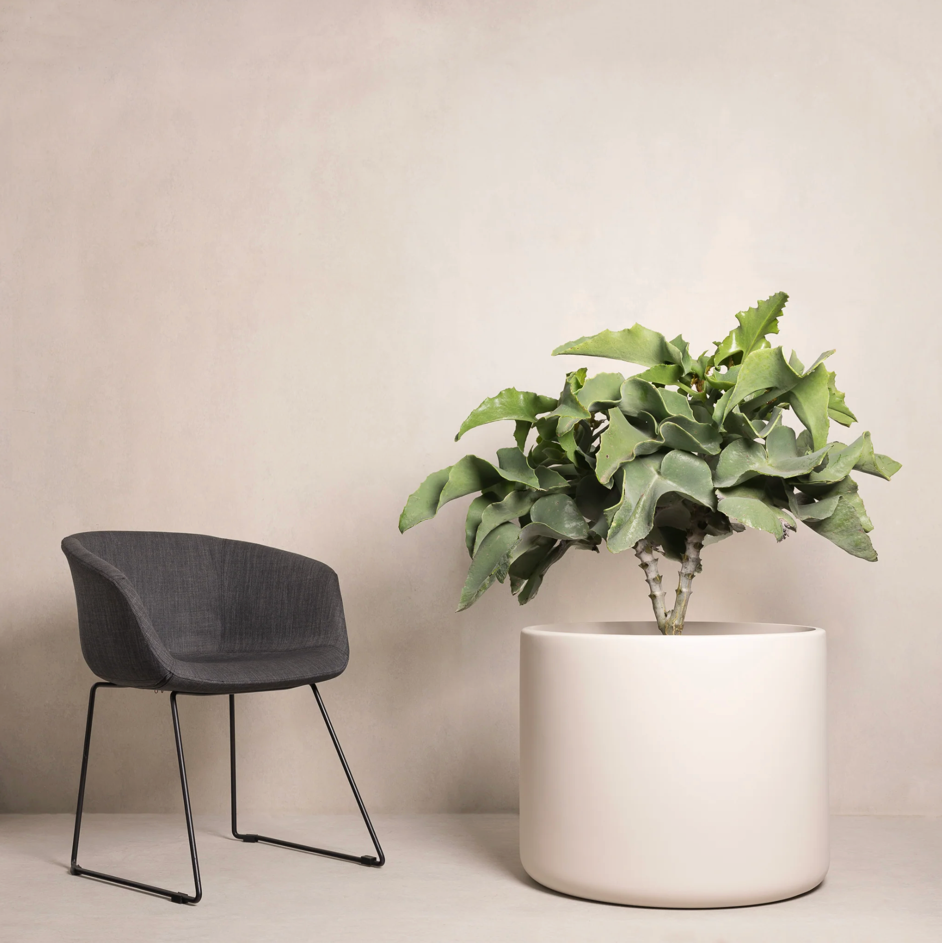 Hibernate Outdoors — 90 Degrees Pot Collection - 530x650mm