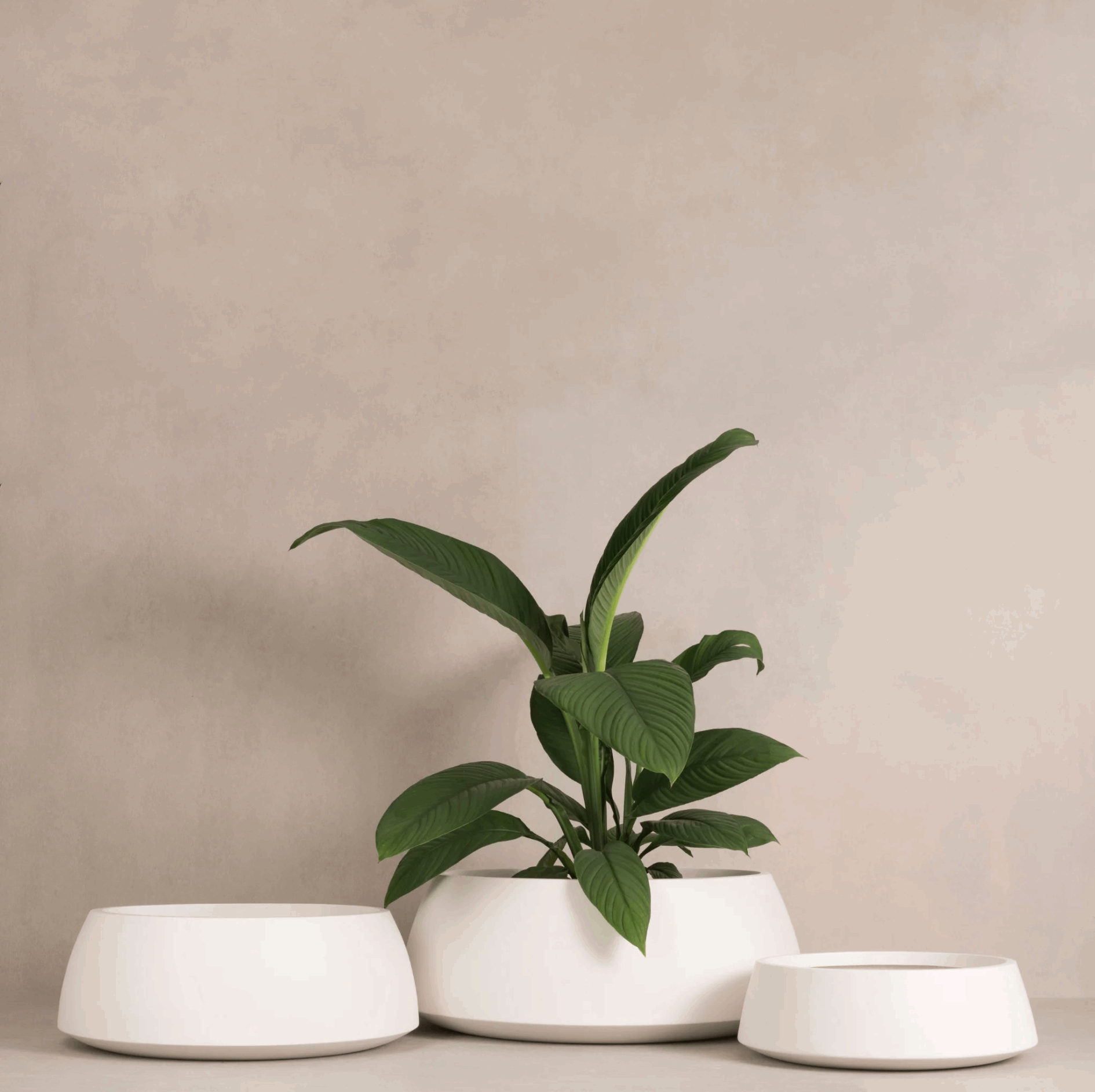 Hibernate Outdoors 80 Degrees Low Bowl Salt - 220H x 600mm