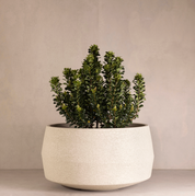 Hibernate Outdoors 10 Degrees Range - 450x800mm