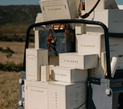 Fieldbar Drinks Box MkII - Parisian Green